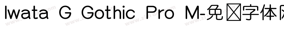 Iwata G Gothic Pro M字体转换